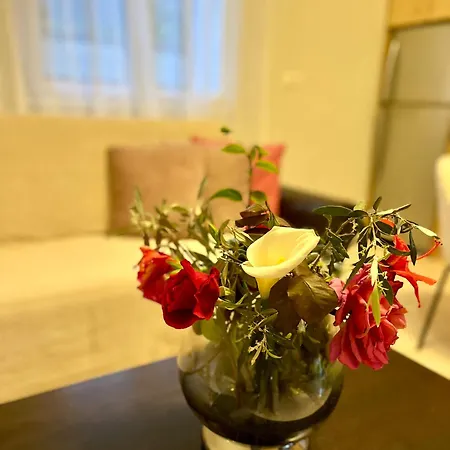 Case de vacanță The Garden Loft *